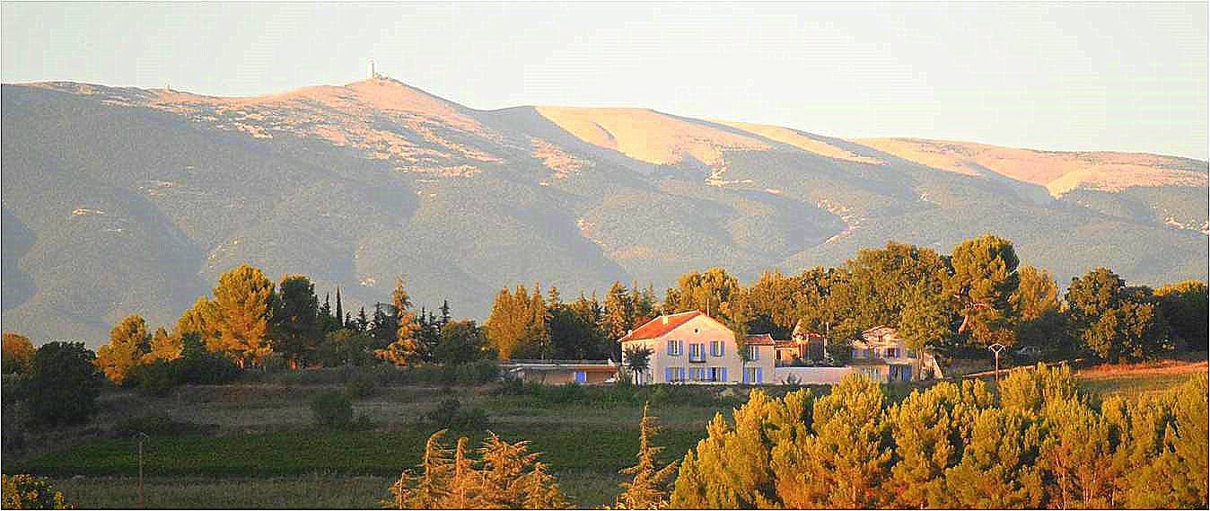 Abricot B&B in Mazan, Parc naturel régional du Mont-Ventoux