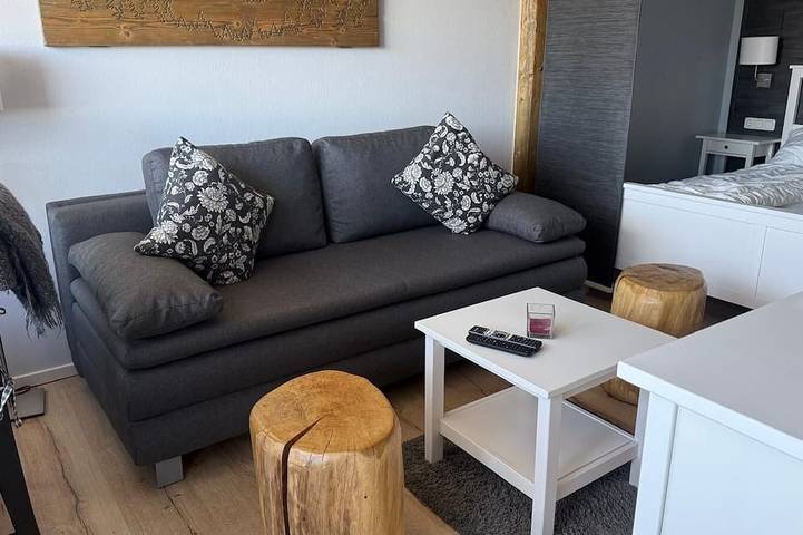 Ganze Wohnung, Top moderne Ferienwohnung Altenau im Oberharz in Altenau, Harzvorland