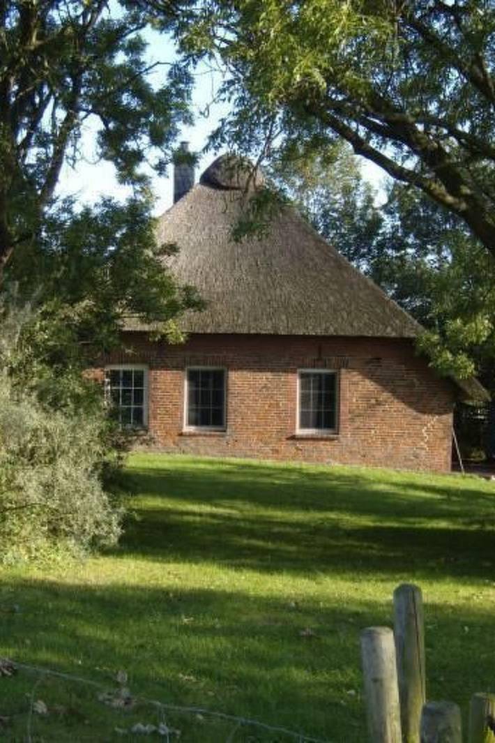 Ferienhaus für 4 Personen, mit Terrasse, mit Haustier in Stadland - 3