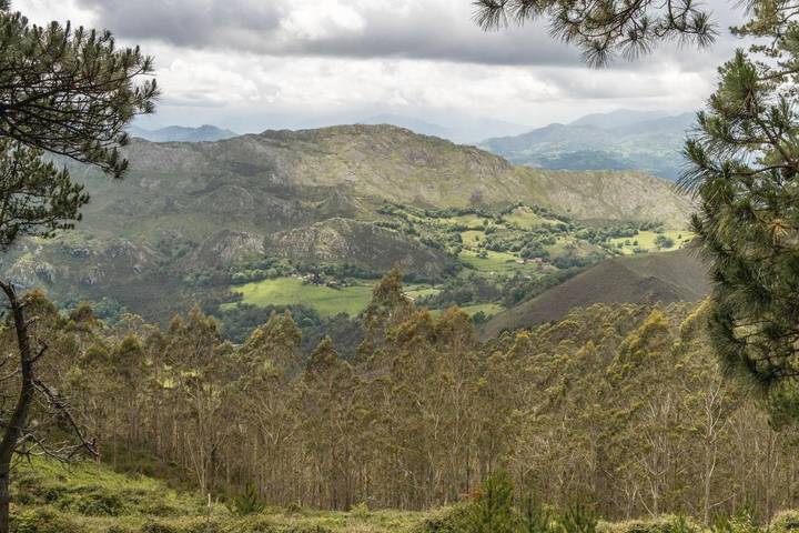 Casa rural para 2 personas, con vistas y jardín, Se admiten mascotas en Costa Oriental Asturiana - 4