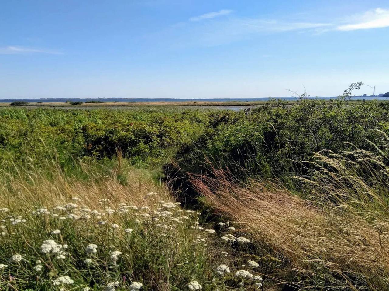 10 Personen Ferienhaus in Rønde in Følle Strand, Djursland