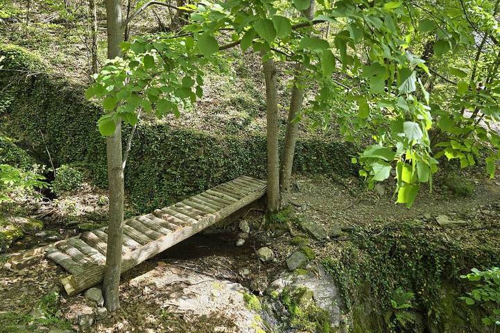 Petite cabane dans les bois in Malons-et-Elze, Parc national des Cévennes