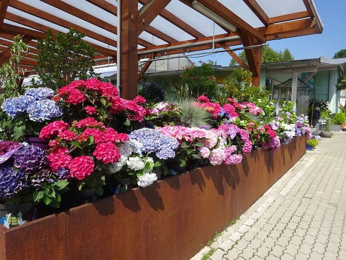 Ferienhaus für 3 Personen, mit Balkon am Ammersee - 4