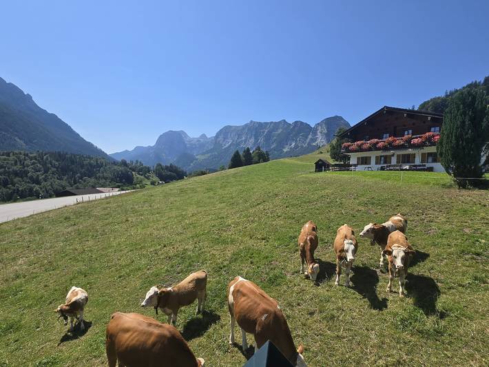 Ganze Ferienwohnung, Klettnerlehen Ferienwohnung - Ferienwohnung 1, 1-2 Personen, 38 qm, Dusche/Wc, Balkon, Tv,  Wohnschlafzimmer in Ramsau bei Berchtesgaden, Berchtesgadener Alpen