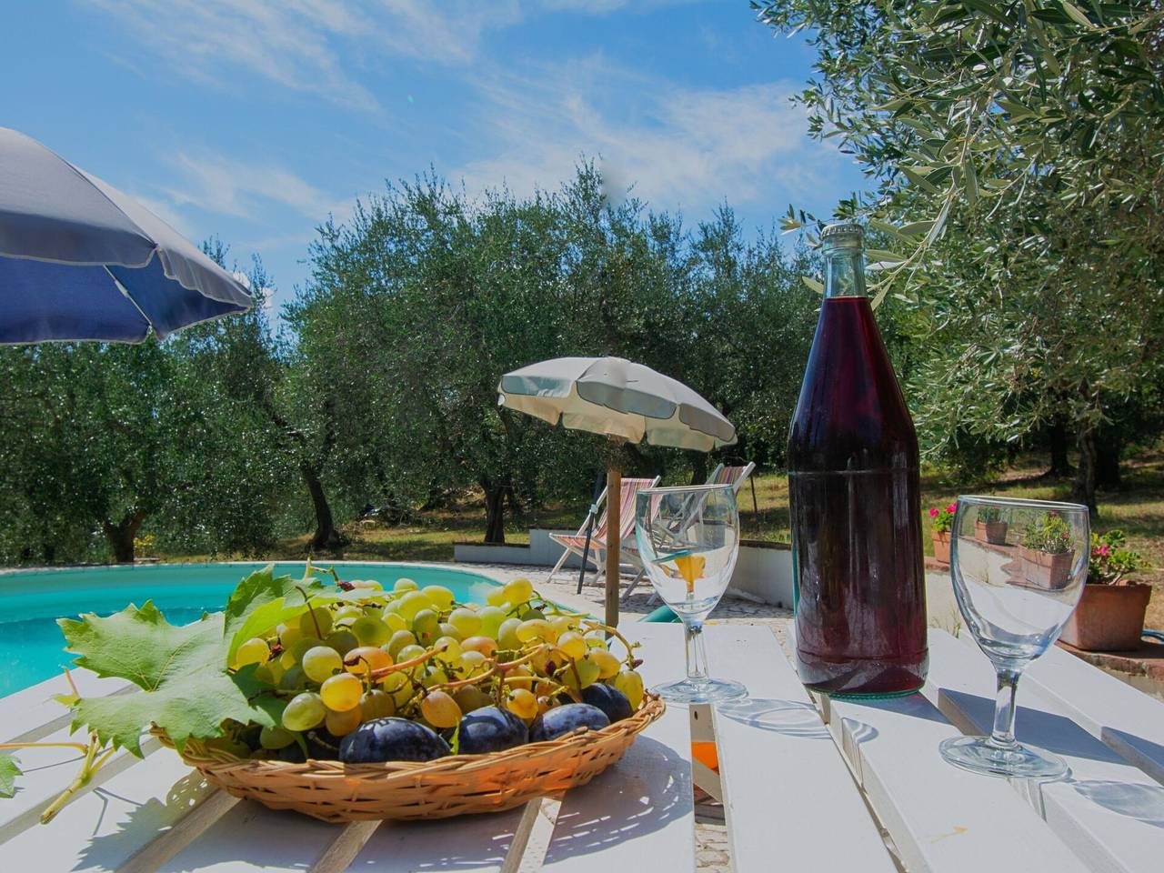 Villa Albertine - Villa Albertine 601.1 in Lajatico, Pisa Provinz