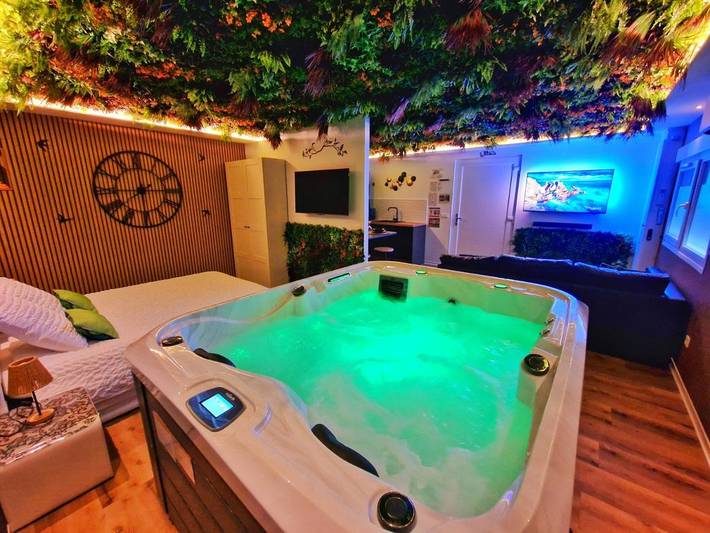 Gîte pour 4 personnes, avec jardin et jacuzzi à Muntzenheim - 2