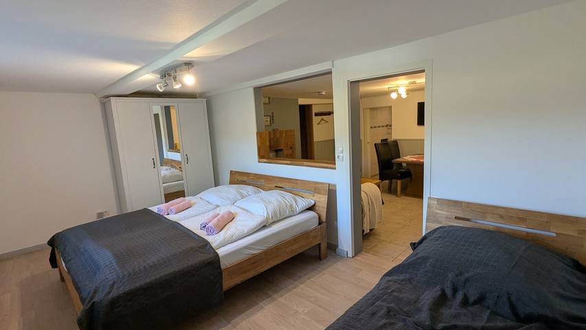 Ganze Wohnung, Apartment „Wiesenblick“ mit Bergblick, privater Terrasse und Wlan in Todtmoos - Weg, Todtmoos