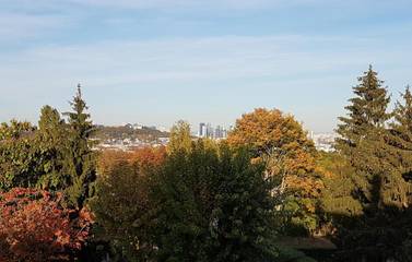 Gîte pour 5 personnes, avec jardin et vue à Garches