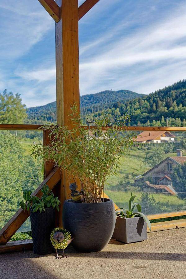 Hôtel pour 2 personnes, avec terrasse et vue, animaux acceptés à Fresse-sur-Moselle - 4