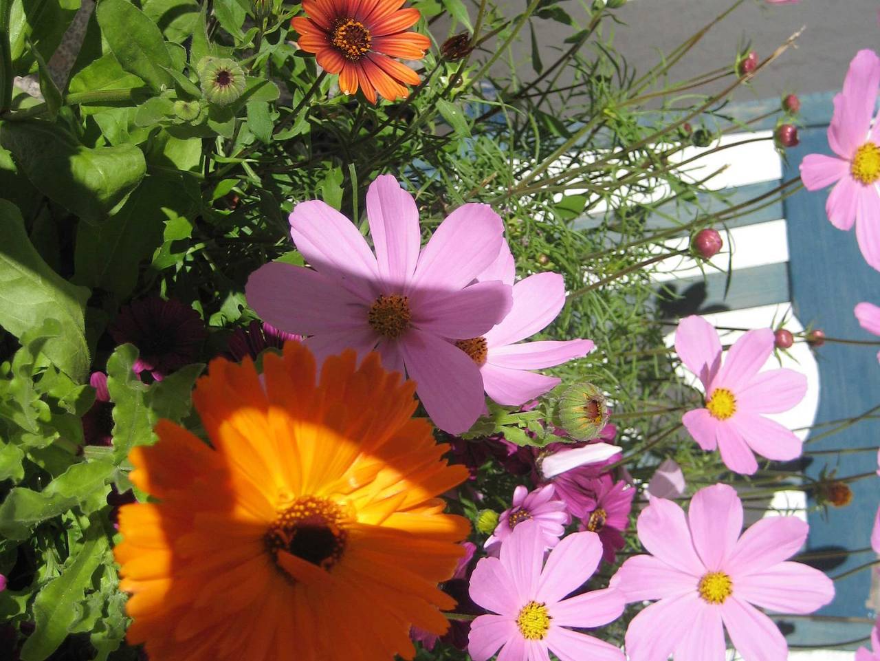 Ganze Ferienwohnung, Mühle - Blaue Silvretta in Galtür, Verwall