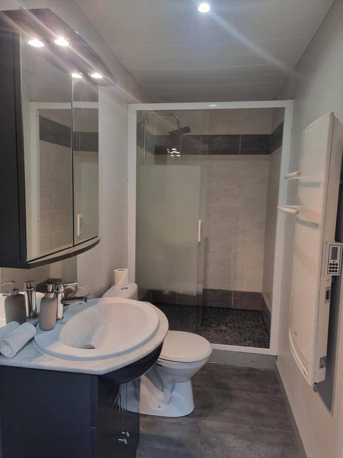 Gîte pour 4 personnes, avec jardin, animaux acceptés à Rivière-Saas-et-Gourby - 2