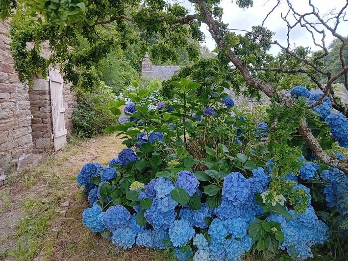 Gîte pour 2 personnes, avec jardin à La Forêt-Fouesnant - 2