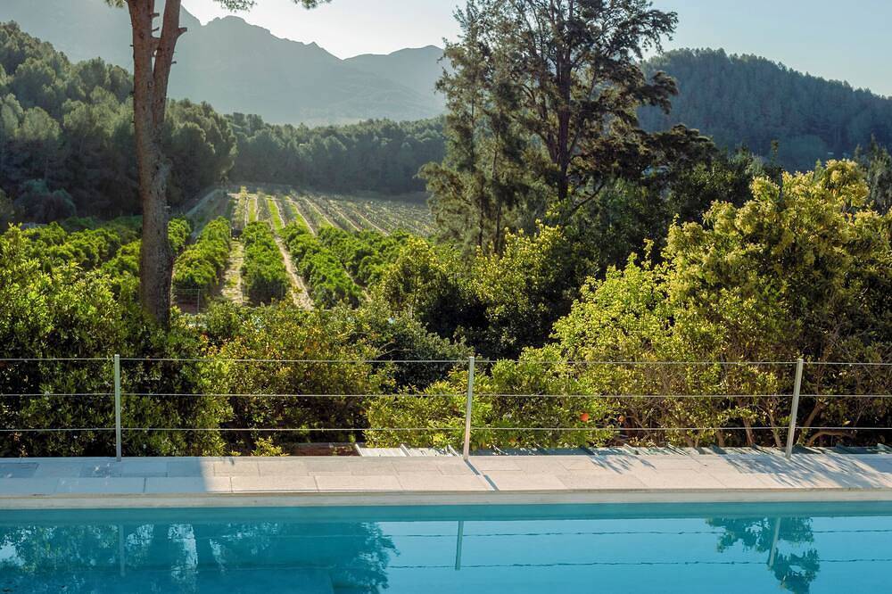 Ginkgo House in Alzira, Valencia Provincie