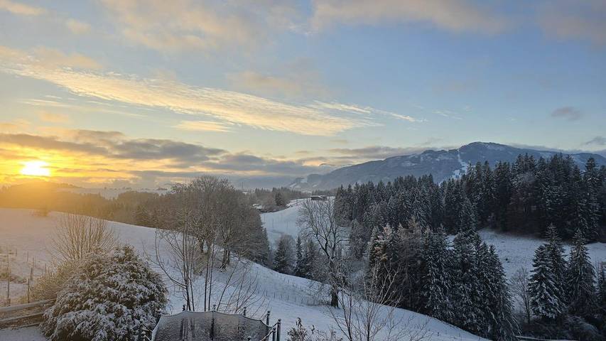 Ferienwohnung für 6 Personen, mit Garten, mit Haustier in Oy-Mittelberg - 2