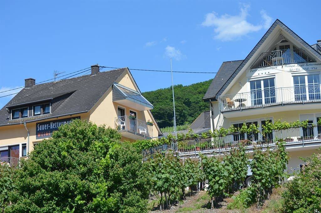 Ganze Ferienwohnung, 4-Bettwohnung - Typ 1 in Enkirch, Bernkastel-Kues & Umgebung