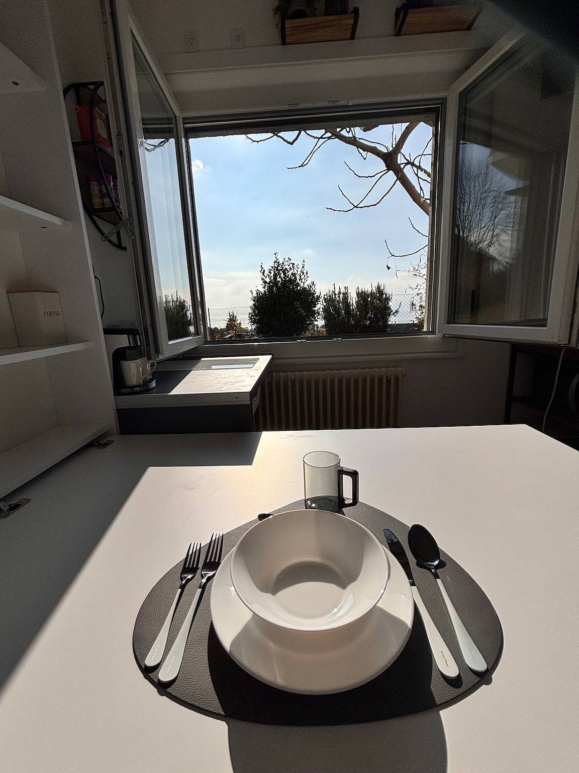 Lake view room in Pully with washing machine - Grape Place Bellevue in Pully, Lake Geneva