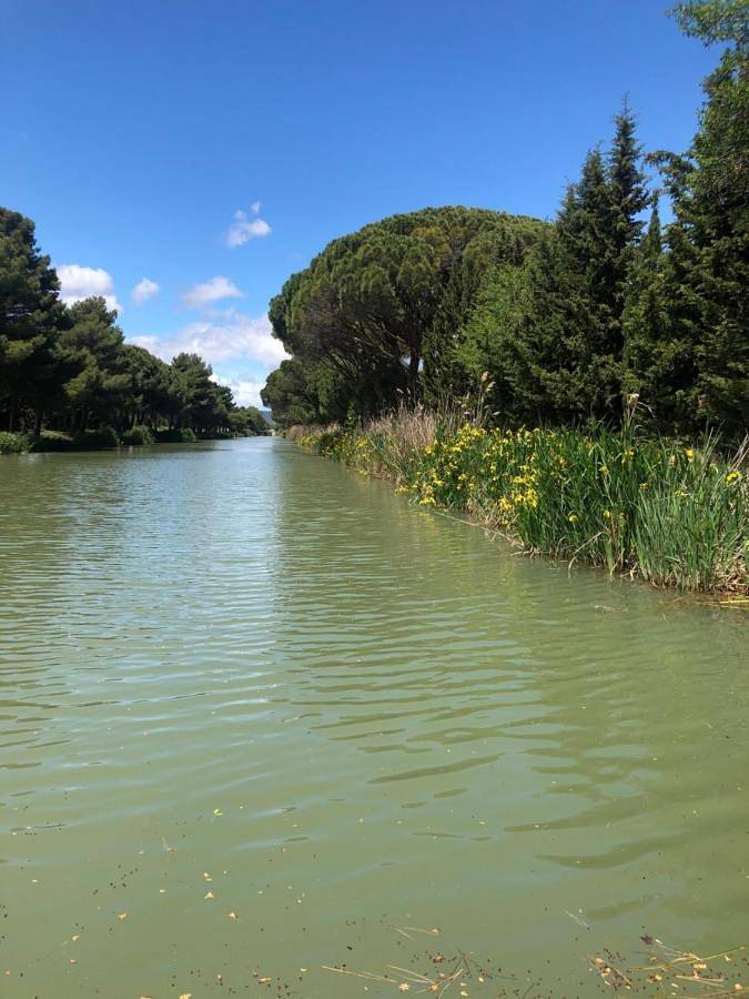 Villa Pintourina in Sallèles-d'Aude, Côte méditerranéenne (France)
