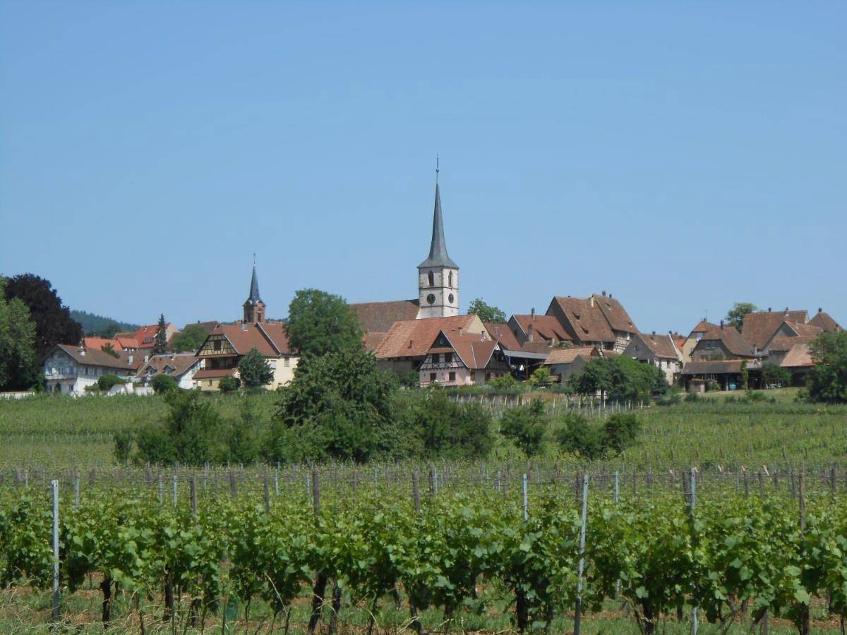 Double Room in Mittelbergheim, Regio Sélestat-Erstein