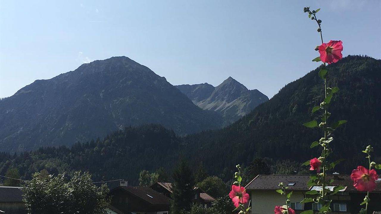 Ganze Ferienwohnung, Ferienwohnung für 3 Personen (65 m²) in Bad Hindelang in Bad Hindelang, Bayerisch Schwaben