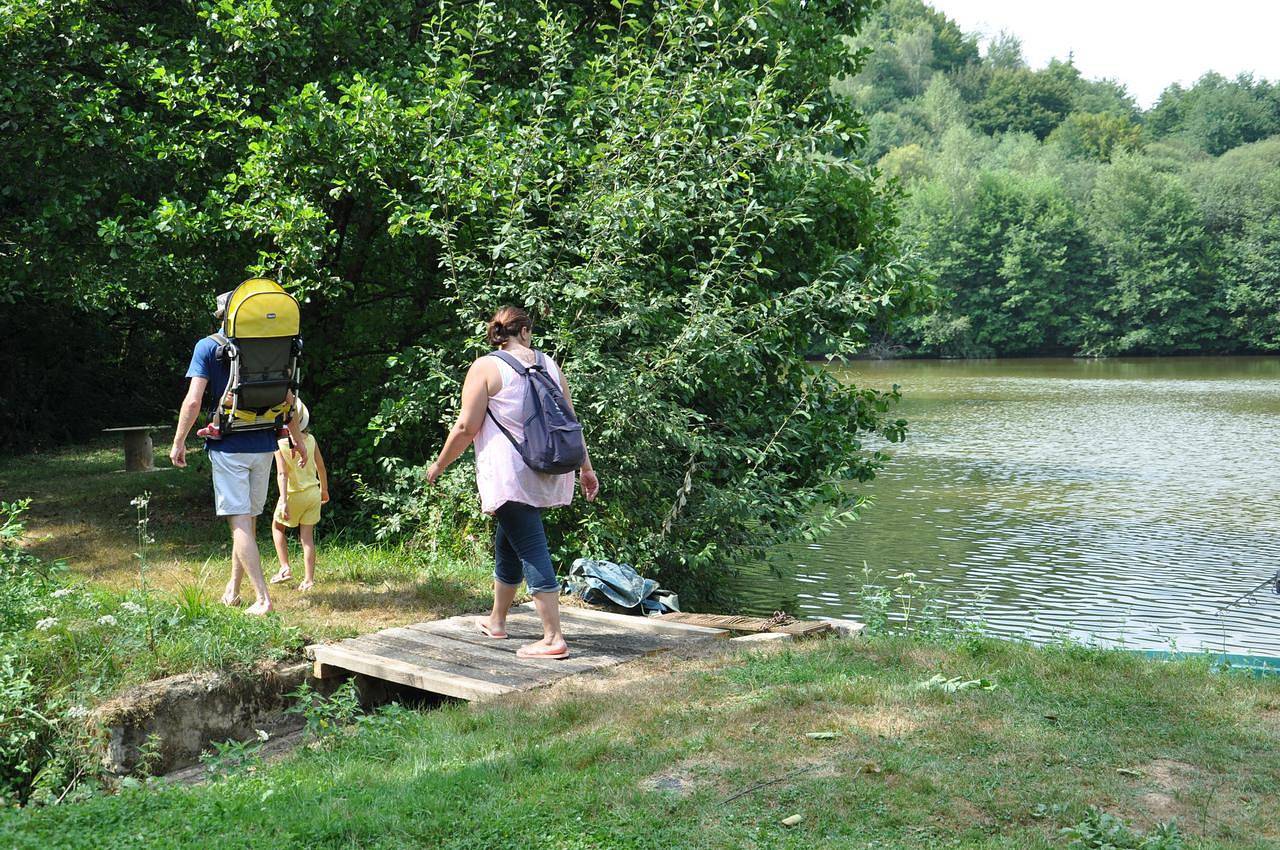 Chalet 'Du Moulin Du Châtain 1' avec piscine partagée, terrasse privée et jardin partagé in Payzac (Dordogne), Périgord Vert
