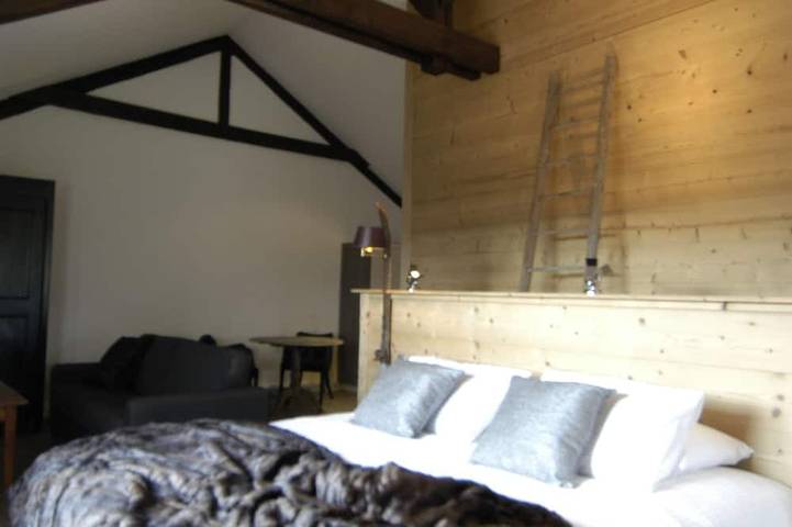 Hôtel pour 2 personnes, avec jacuzzi à Vétraz-Monthoux - 4