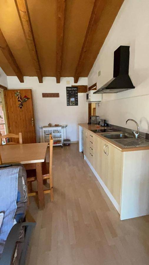 Apartamento de vacaciones para 5 personas, con vistas y jardín, Se admiten mascotas en Ripollès - 4