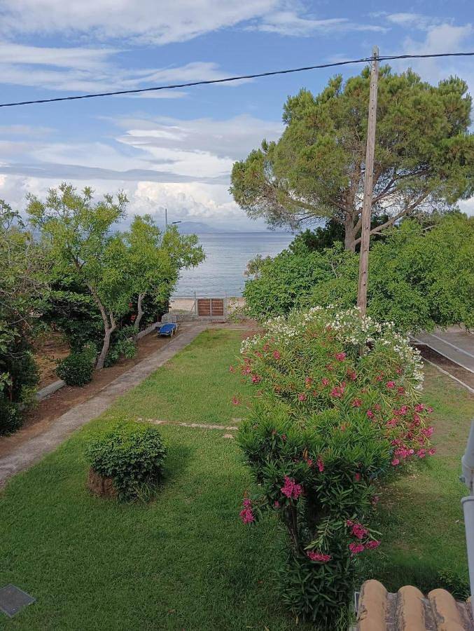 Nea Zoi-Studios in Μωραΐτικα, Κέρκυρα