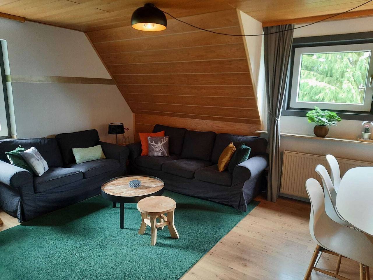 Ganze Wohnung, Wohnung bei Willingen für Wintersport in Willingen, die Mittelgebirge