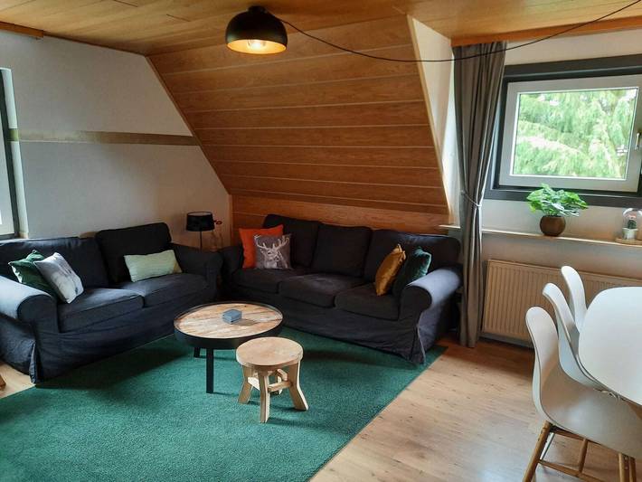 Ferienwohnung für 8 Personen, mit Terrasse, mit Haustier in Willingen - 2