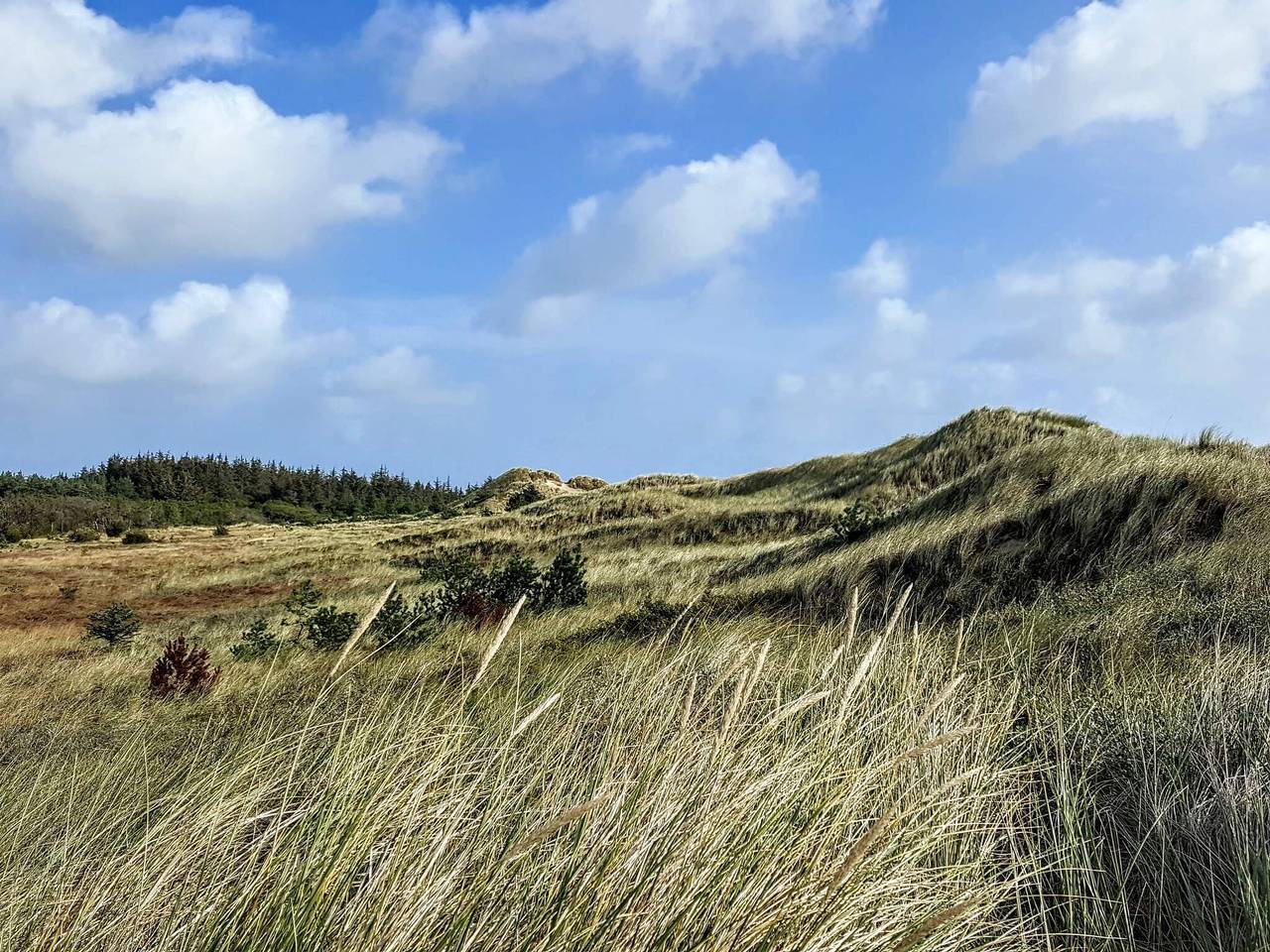 Idyllische Strandhutte -- By Traum Ferienwohnungen in Lodskovvad, Ålbæk
