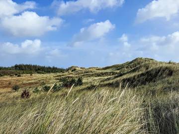 Feriehus til 4 Personer i Lodskovvad, Ålbæk, Bilde 3