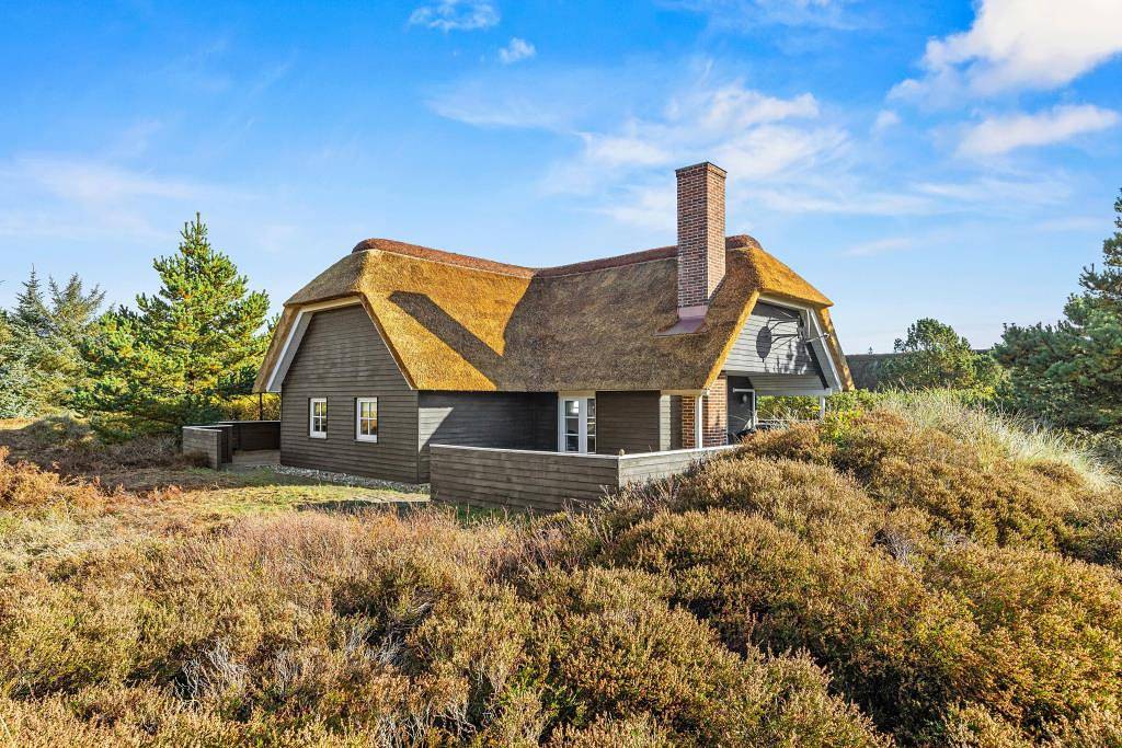 Reetgedecktes Ferienhaus mit Sauna und Whirlpool in Blåvand  in Blavand, Varde