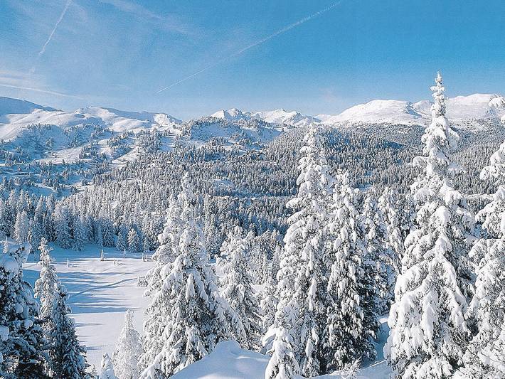 Fjellhytte for 8 personer, med hage og sauna i tillegg til balkong - 1