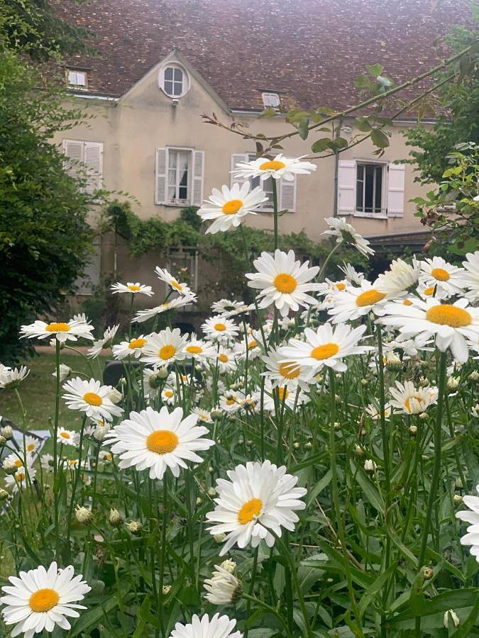 Maison de vacances pour 10 personnes, avec terrasse et vue, animaux acceptés