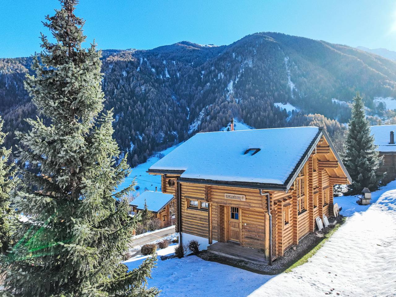 Edelweiss in Nendaz, Walliser Alpen