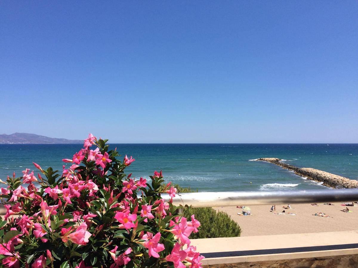 Appartement entier, Apartaments La Palmera, Terrace & Pool in Sant Martí d'Empúries, L'Escala