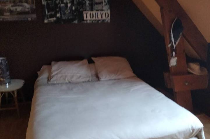 Location de vacances pour 8 personnes, avec jardin à Teloché - 3