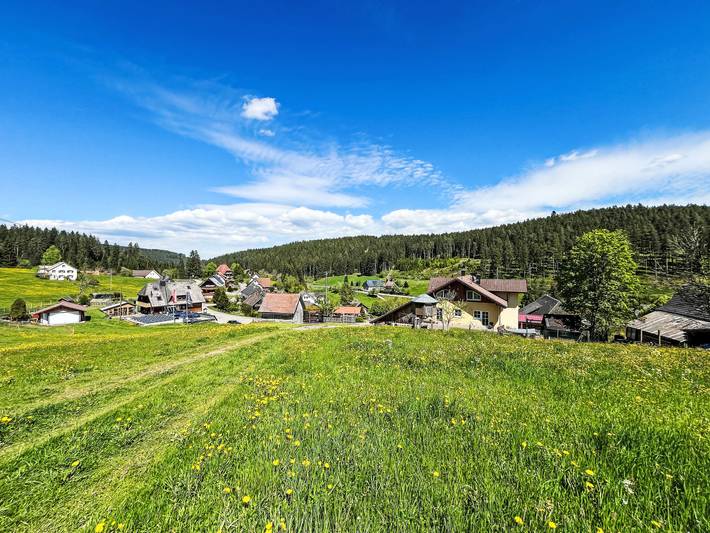 Ferienwohnung für 3 Personen, mit Garten und Terrasse, mit Haustier in Eisenbach