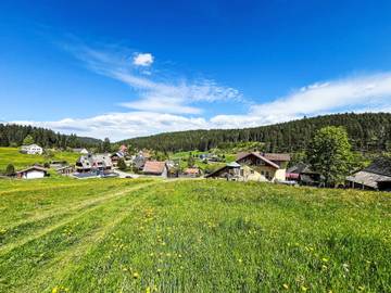 Ferienwohnung für 3 Personen, mit Garten und Terrasse, mit Haustier in Eisenbach