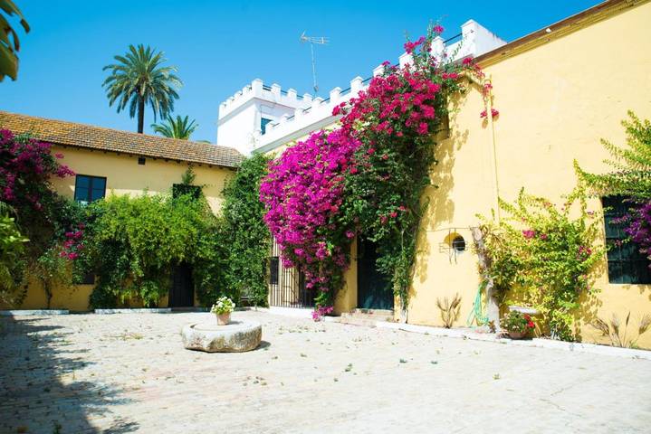Gîte pour 2 personnes, avec piscine et jardin, animaux acceptés à Utrera - 3