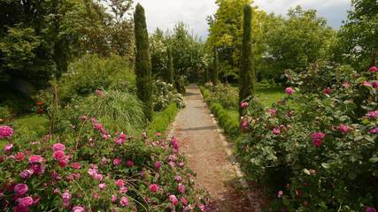 Vacation Apartment for 5 Guests in Südliche Weinstraße, Pfälzer Weinland, Picture 4