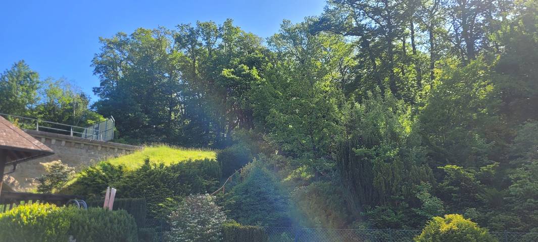Holiday Home “The Vienna Nature Retreat” with Wi-Fi in Laab im Walde, Bezirk Mödling