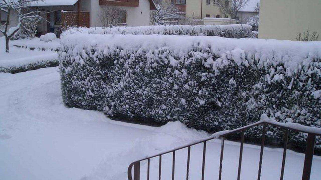 Ganze Ferienwohnung, Ferienwohnung für 2 Personen (45 m²) in Lahr/Schwarzwald in Lahr, Mittlerer Schwarzwald
