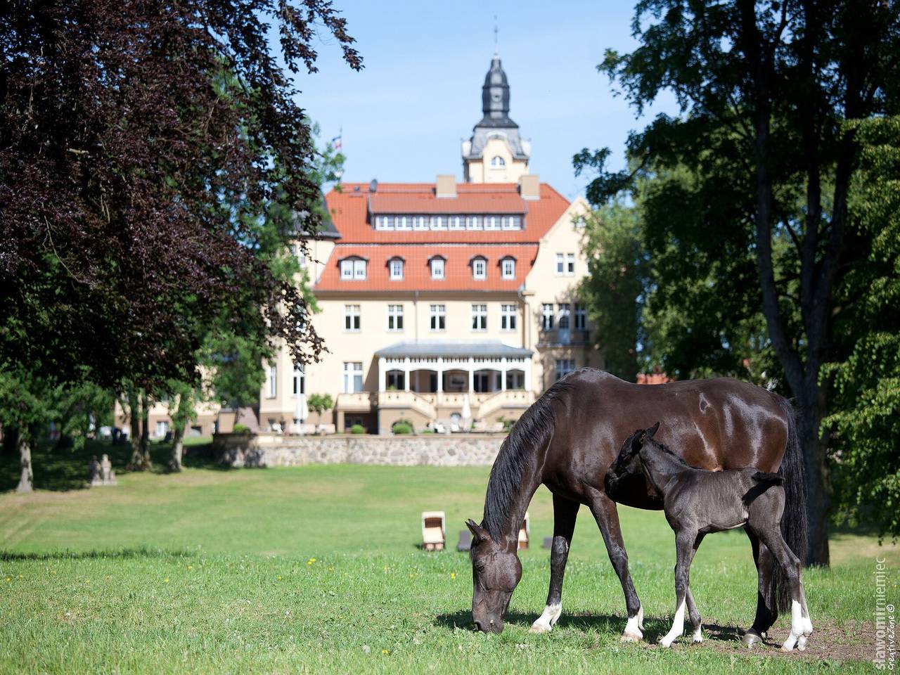 Ferienhaus nahe Winstongolf Schwerin in Kuhlen-Wendorf, Ludwigslust-Parchim