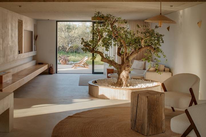 Villa pour 10 personnes, avec sauna ainsi que jardin et piscine, animaux acceptés dans Šolta - 3