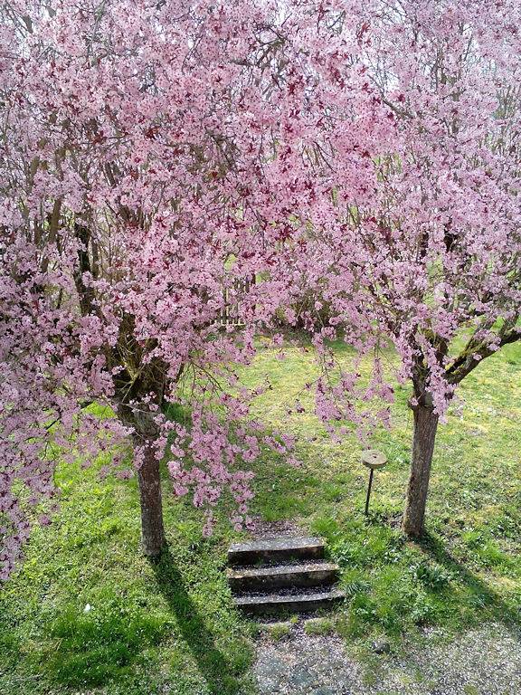 Gîte pour 10 personnes, avec jardin et terrasse, animaux acceptés dans Côte-d'Or - 3