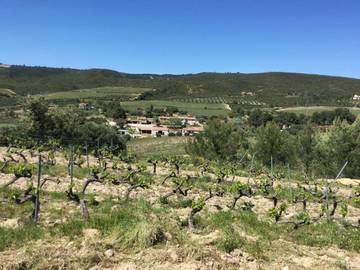 Gîte pour 4 personnes, avec vue et terrasse, animaux acceptés à La Cadière-d'Azur