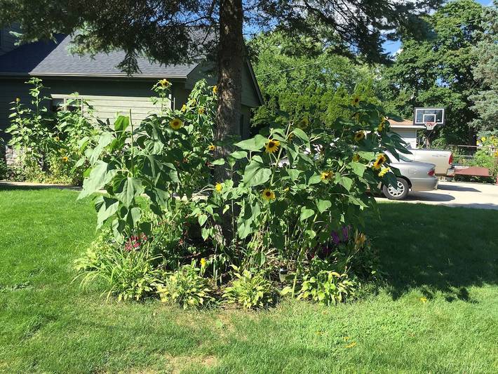 Vacation rental for 2 people, with terrace in Oakland County