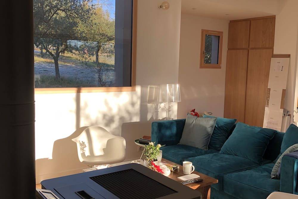 Beautiful contemporary house, swimming pool, terrace and large garden in Forcalquier, Parc naturel régional du Luberon