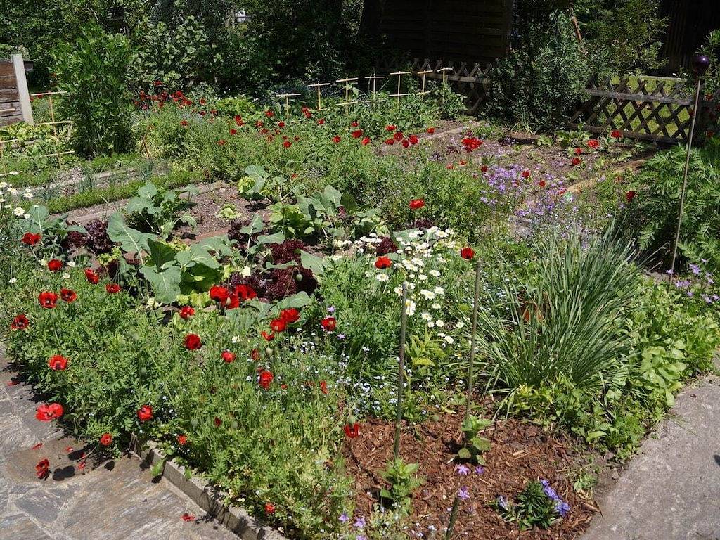 Penzinger in Deutschlandsberg in Deutschlandsberg (Stadt), Deutschlandsberg